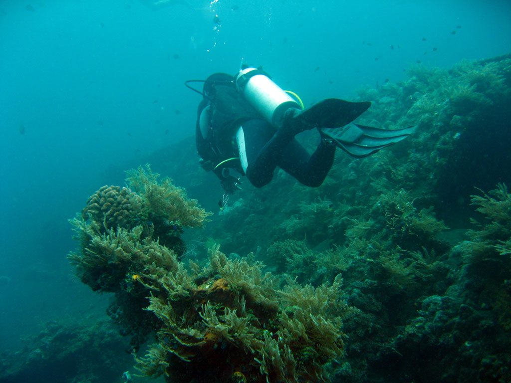 Podmořský svět u pobřeží Bali