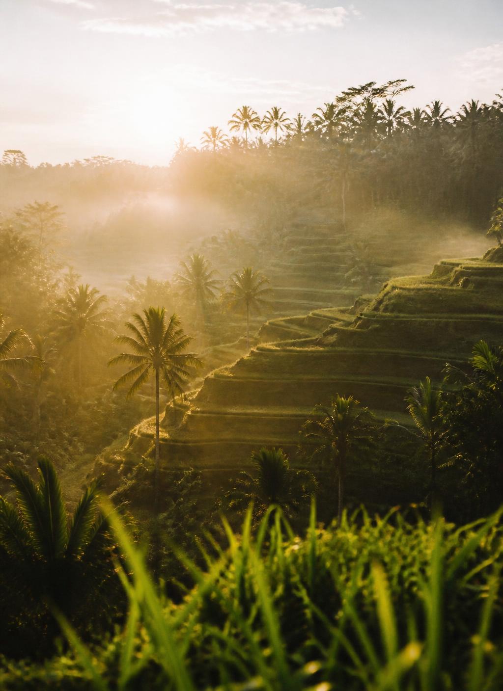 Bali — Indonésie
