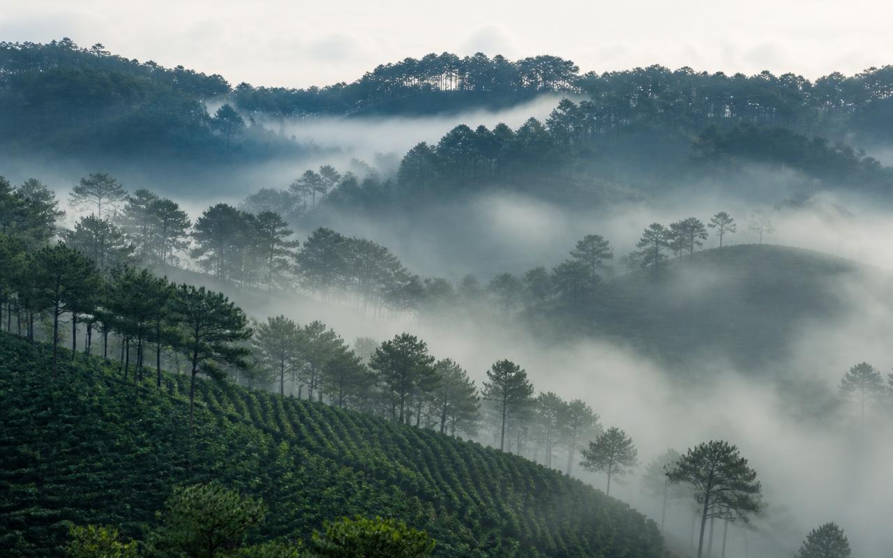 Da Lat